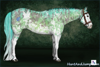 Horse Color:White Spotted Bay Ice Splash Rabicano  and Watercolor White Spotted Brown Ice Splash Rabicano 