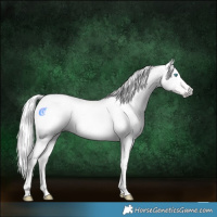 Horse Color:Gray Cremello Roan Tobiano 