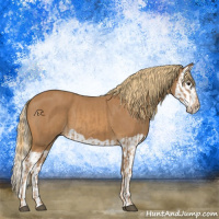 Horse Color:Chestnut  and Chestnut Splash 