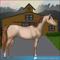 Horse Color:Brown Pearl Dun