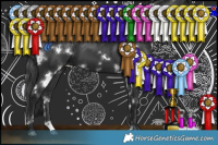 Horse Color:White Spotted Black 