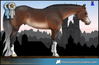 Horse Color:Brown 