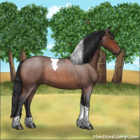 Horse Color:Bay Roan Tobiano