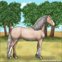 Horse Color:White Spotted Silver Amber Champagne Roan