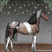 Horse Color:Bay Tobiano 