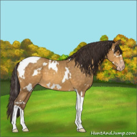 Horse Color:White Spotted Sable Cream Champagne Tobiano 