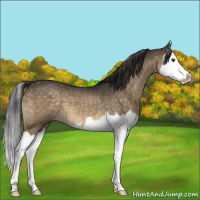 Horse Color:Buckskin Dun Mushroom Splash Brindle 