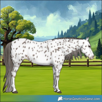 Horse Color:Liver Chestnut Sabino Near Leopard 