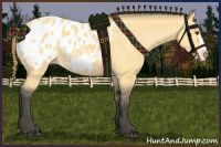 Horse Color:Buckskin Dun Frame Appaloosa 