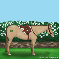 Horse Color:Classic Cream Champagne Roan