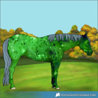 Horse Color:ERROR: UNKNOWN ANOMALY