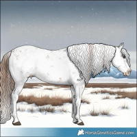 Horse Color:Chestnut Sabino Splash Appaloosa 
