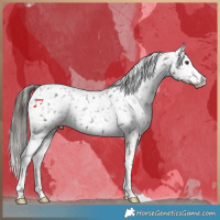 Horse Color:Liver Chestnut Tobiano Snowflake Varnish 