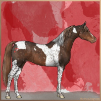 Horse Color:Liver Chestnut Tobiano Snowflake Varnish