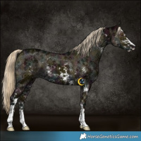 Horse Color:Midnight Chocolate Palomino Ice Dun Mushroom Sabino Brindle 