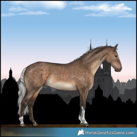 Horse Color:Silver Brown Dun Tobiano 