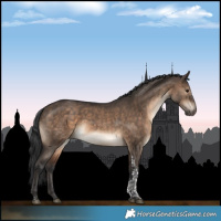 Horse Color:Brown Dun Tobiano 