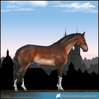 Horse Color:Brown Tobiano 