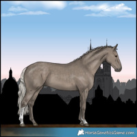 Horse Color:Silver Grullo Tobiano 