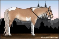 Horse Color:Silver Bay Dun Tobiano 