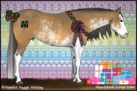 Horse Color:Buckskin Sabino Splash Rabicano 