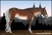 Horse Color:Silver Brown Tobiano 