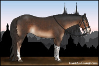 Horse Color:Liver Chestnut Tobiano 