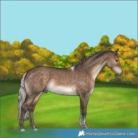 Horse Color:Silver Brown Dun Tobiano 