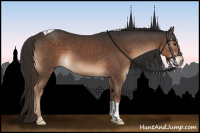 Horse Color:Liver Chestnut Tobiano 
