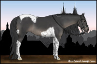 Horse Color:Black Tobiano 