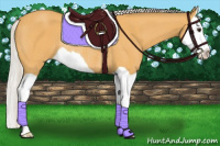 Horse Color:Silver Buckskin Splash Rabicano 