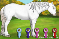 Horse Color:Liver Chestnut Sabino Appaloosa 