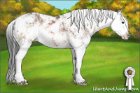 Horse Color:Bay Sabino 