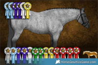 Horse Color:Blue Roan Rabicano
