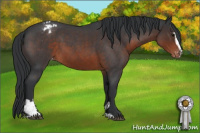 Horse Color:Brown Roan Sabino Varnish 