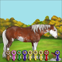 Horse Color:Silver Bay Sabino 