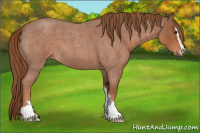 Horse Color:Red Roan Sabino 