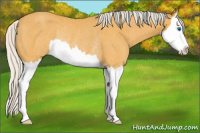 Horse Color:Silver Buckskin Sabino Splash Rabicano