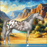 Horse Color:Liver Red Dun Mushroom Appaloosa Brindle 