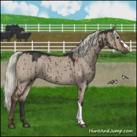 Horse Color:Liver Red Dun Mushroom Brindle 