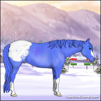 Horse Color:Watercolor Chocolate Black Snowcap