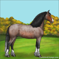 Horse Color:Bay Roan Splash Frame