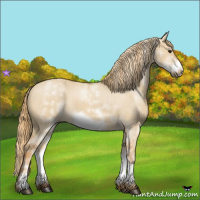 Horse Color:White Spotted Red Dun Sabino Frame 