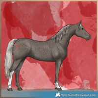 Horse Color:Silver Black Tobiano 