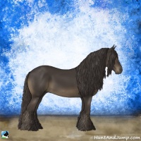 Horse Color:Smoky Black Rabicano 