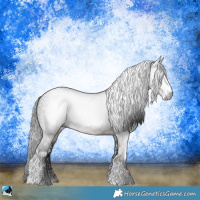 Horse Color:Gray Brown Sabino Rabicano 