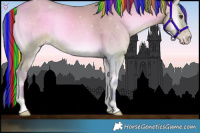 Horse Color:Painted Watercolor Amber Champagne Onyx 