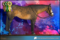 Horse Color:Buckskin Sabino Rabicano 