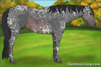 Horse Color:Brown Ice