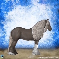 Horse Color:Silver Black Tobiano Rabicano 